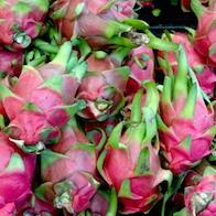 dragon fruit