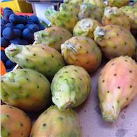 prickly pear