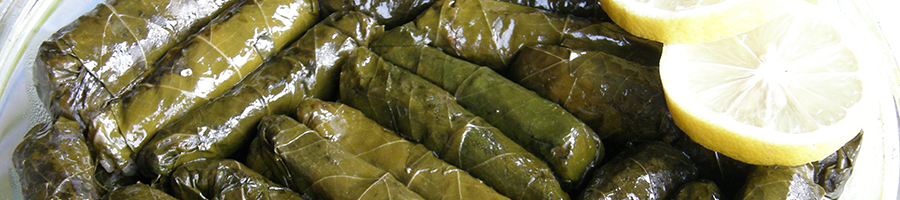 Vine Leaves