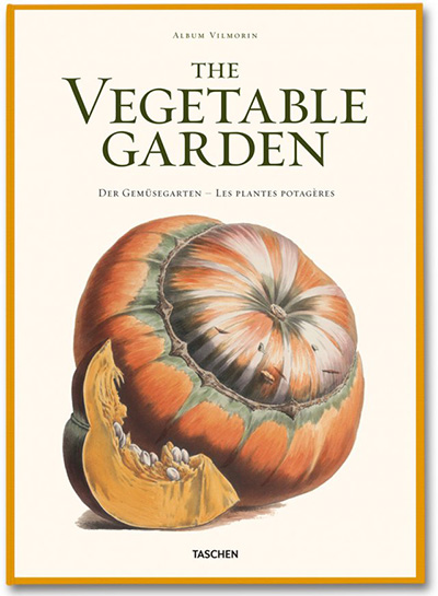 the Vegetable Garden