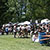 Festival Crowd
